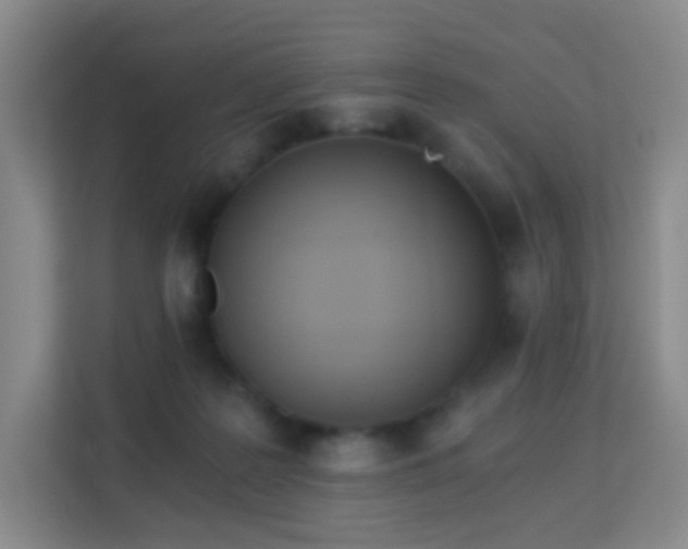 X0000113170219200909111041