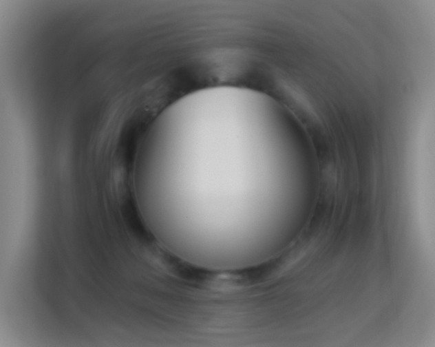 X0000113170222200909111041
