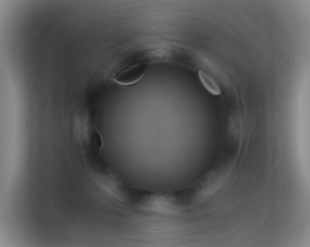 X0000113170223200909111041