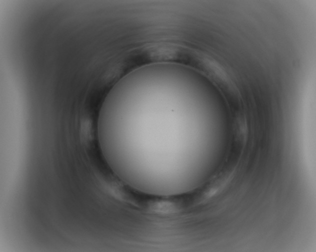 X0000113170224200909111041