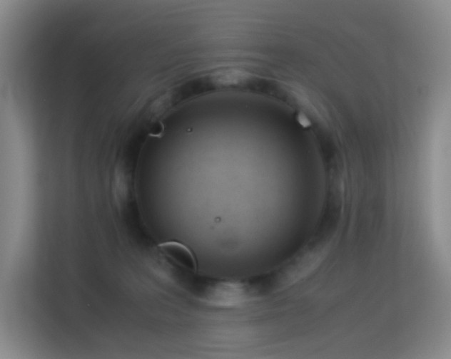 X0000113170227200909111041