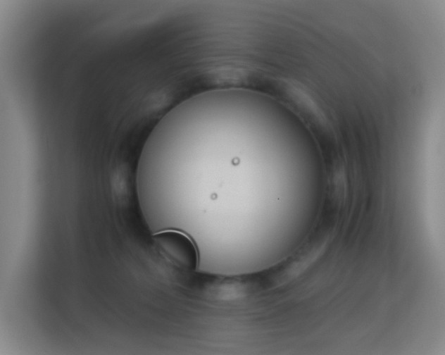 X0000113170228200909111041
