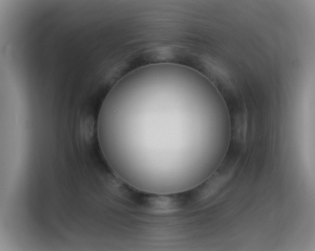 X0000113170230200909111041