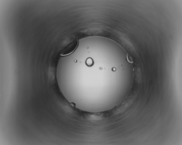 X0000113170232200909111041