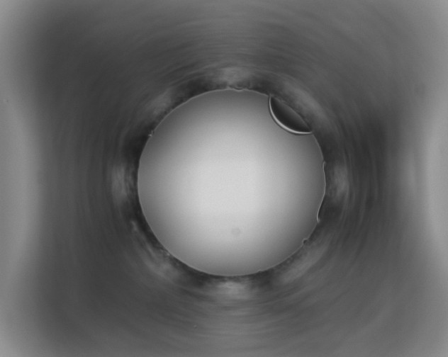 X0000113170236200909111041