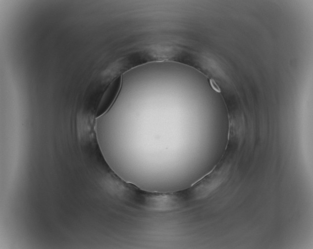 X0000113170237200909111041