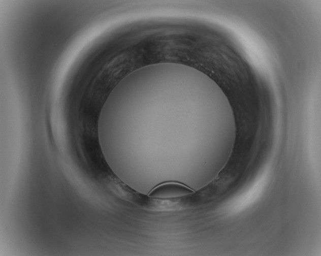 X0000113170239200909111041