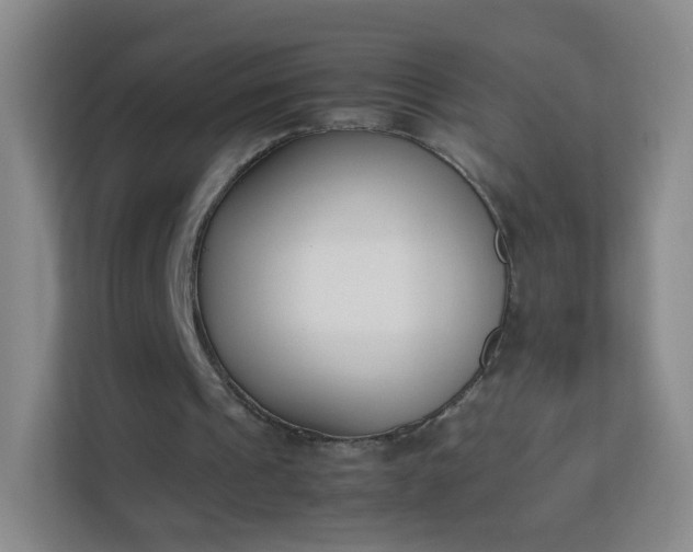X0000113170241200909111040