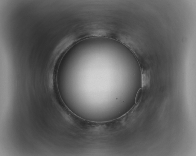 X0000113170243200909111040
