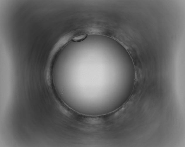 X0000113170245200909111040