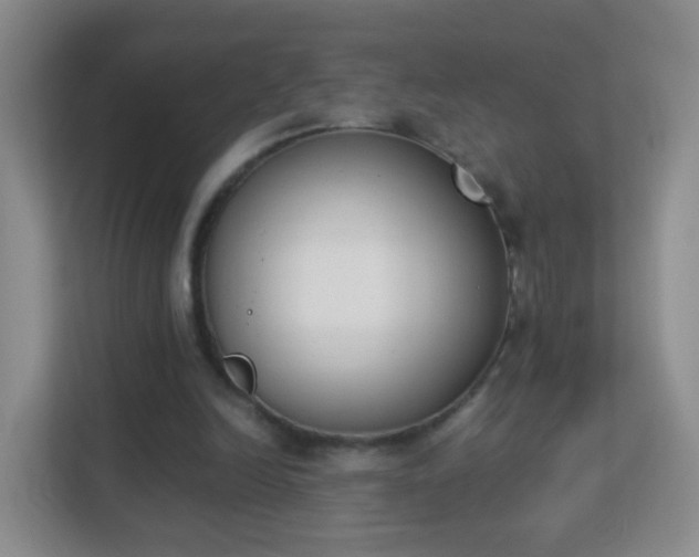 X0000113170246200909111040