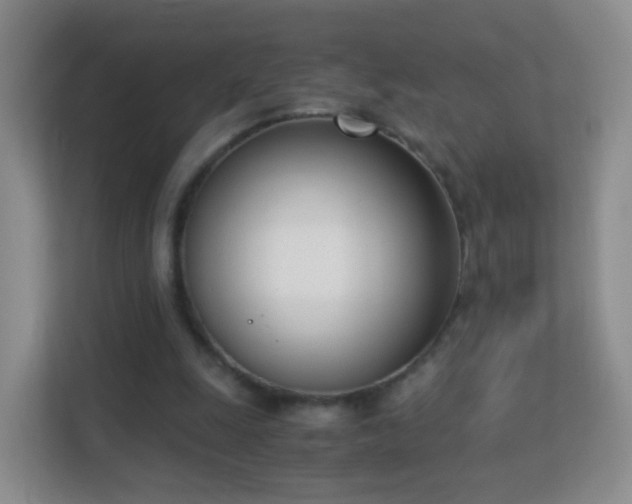 X0000113170247200909111040