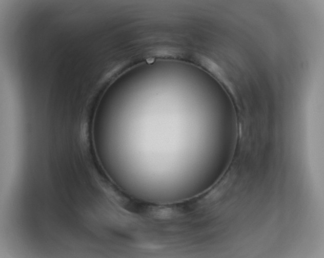 X0000113170249200909111040