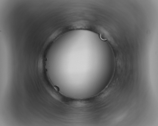 X0000113170250200909111040