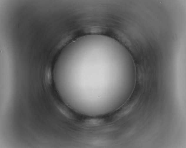 X0000113170251200909111040
