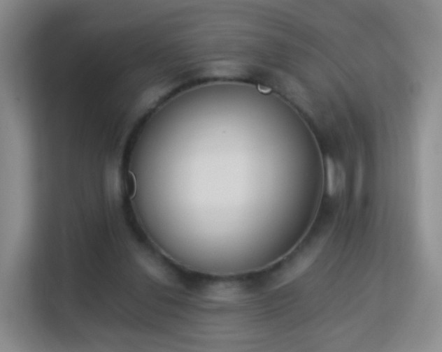 X0000113170252200909111040