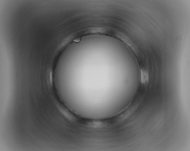 X0000113170253200909111040
