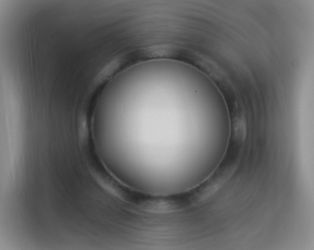 X0000113170254200909111040