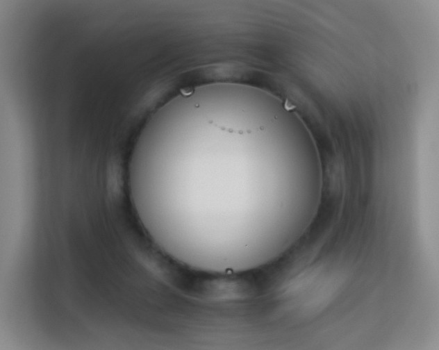X0000113170255200909111040