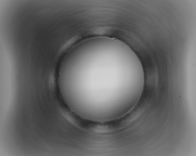 X0000113170256200909111040