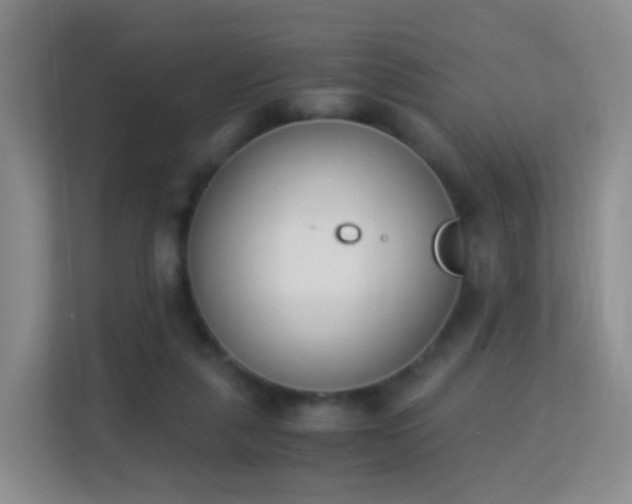 X0000113170259200909111040