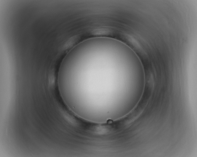 X0000113170261200909111040