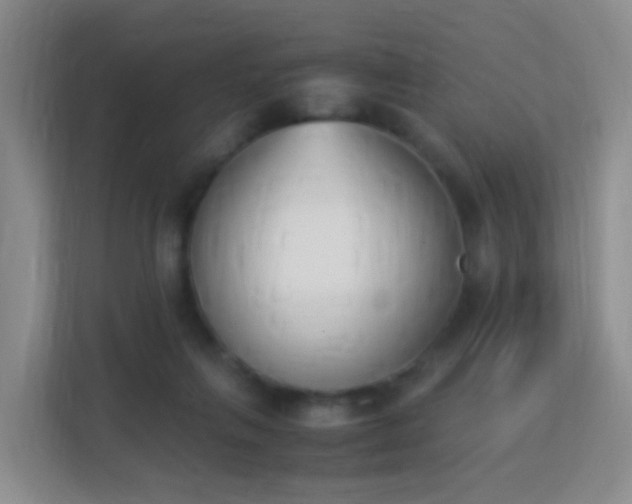 X0000113170263200909111040