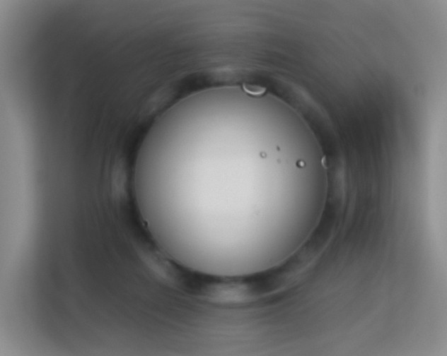 X0000113170266200909111040