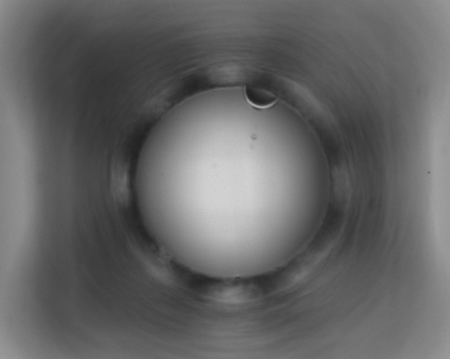 X0000113170267200909111040