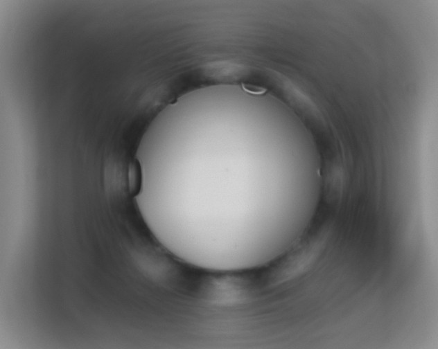 X0000113170268200909111040