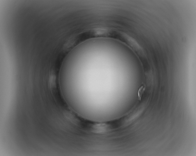 X0000113170269200909111040
