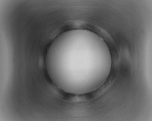X0000113170270200909111040