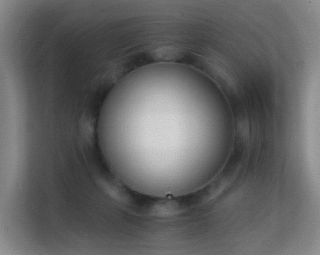 X0000113170271200909111040