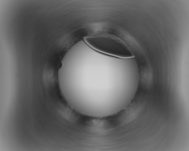 X0000113170272200909111040