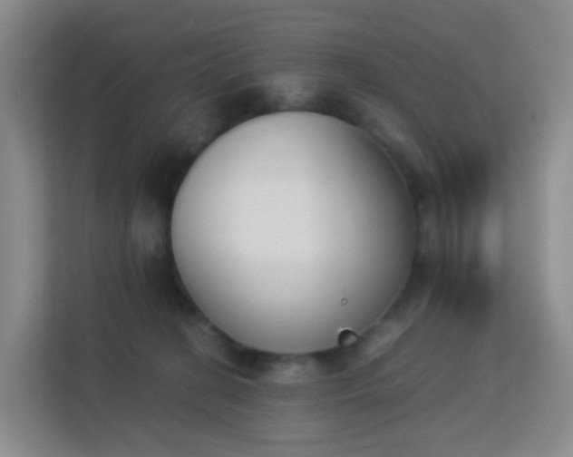 X0000113170274200909111040