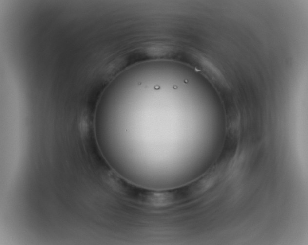 X0000113170277200909111040