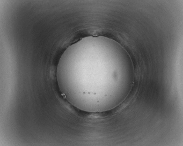 X0000113170280200909111040