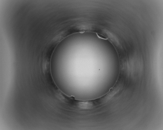 X0000113170281200909111040