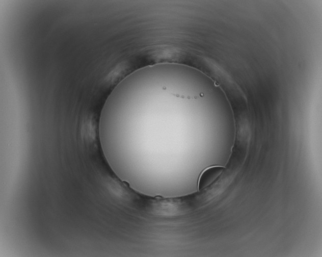 X0000113170282200909111040