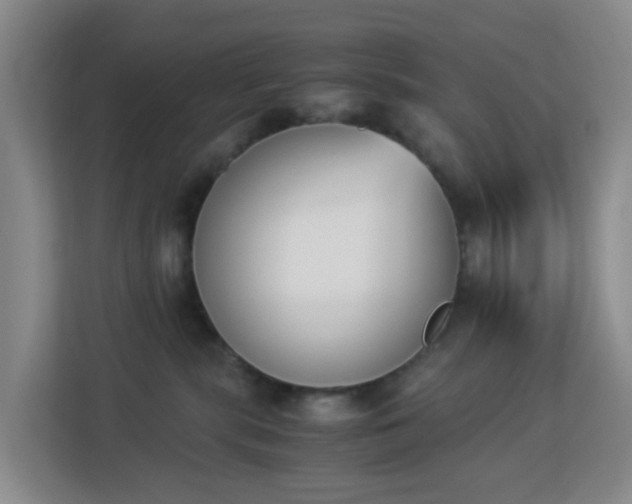 X0000113170283200909111040