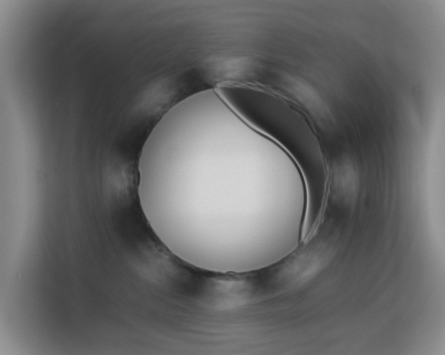X0000113170284200909111040