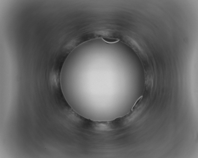 X0000113170285200909111040