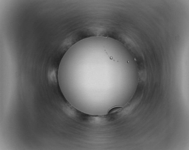 X0000113170286200909111040