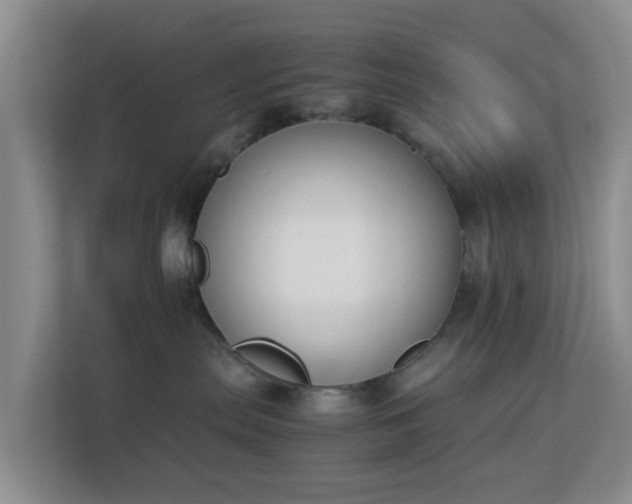 X0000113170287200909111041