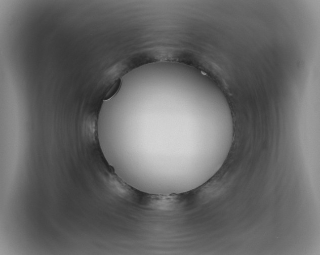 X0000113170288200909111041