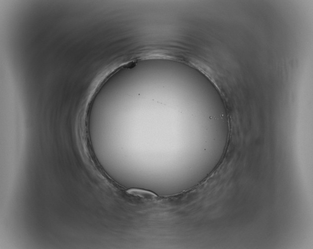X0000113170289200909111040