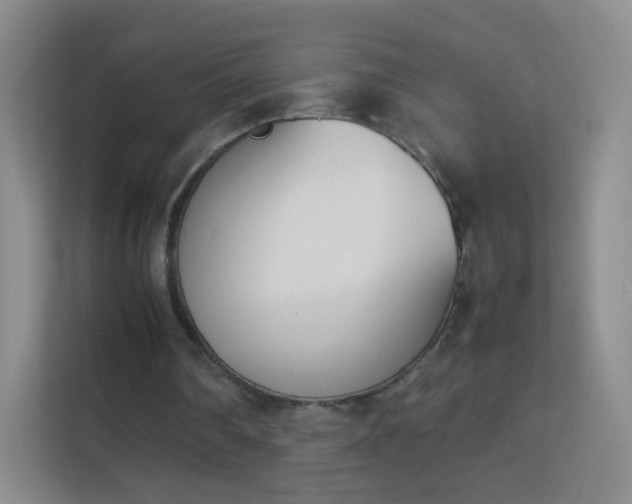X0000113170290200909111040