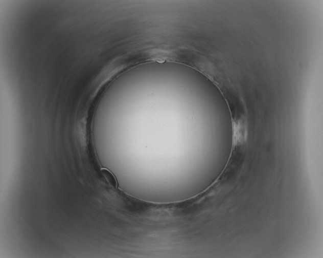 X0000113170291200909111040