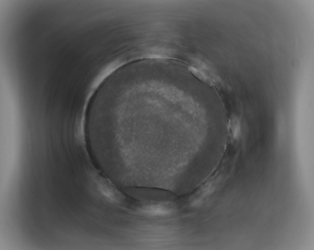 X0000113170292200909111040