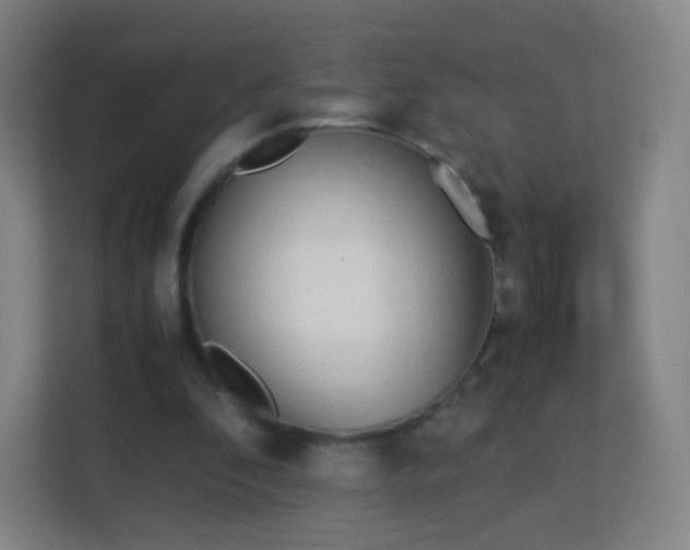 X0000113170296200909111040